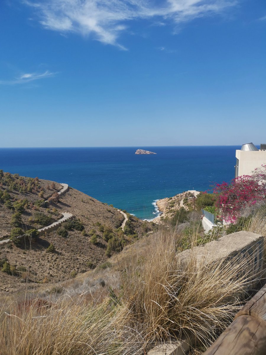 debs65000's tweet image. Little hike this morning to la Cruz ☺️