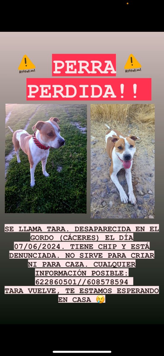 luuna_951's tweet photo. Por favor ayuda! https://t.co/pGIt7Z1hCg