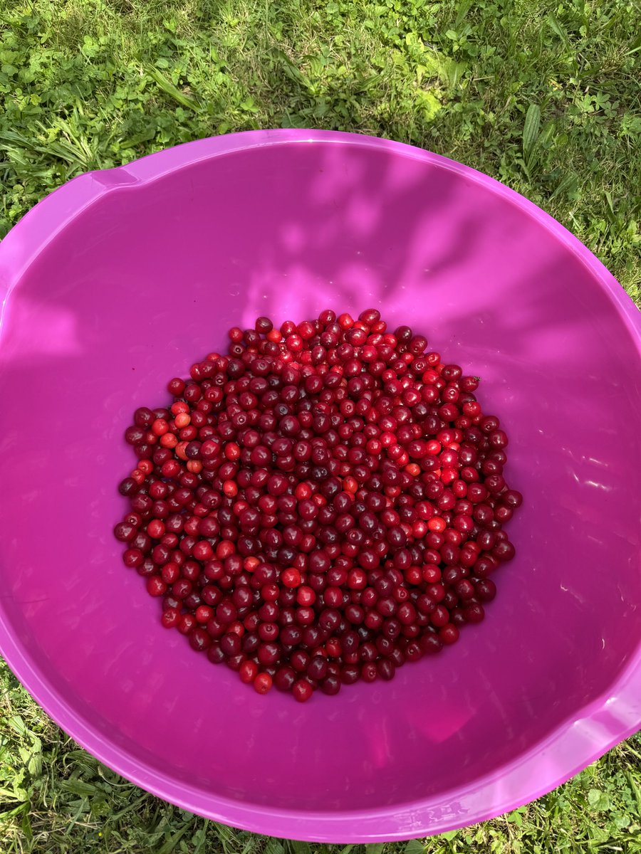 Nedjelja ❤️🍒