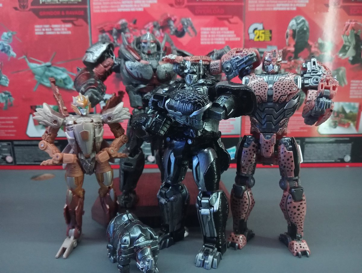 DavidWareh22731's tweet photo. Because it's apparently been a year since its release, here's the current collection from Rise of the Beasts. A few customized of course 😉 https://t.co/BpK2GZGTJ5