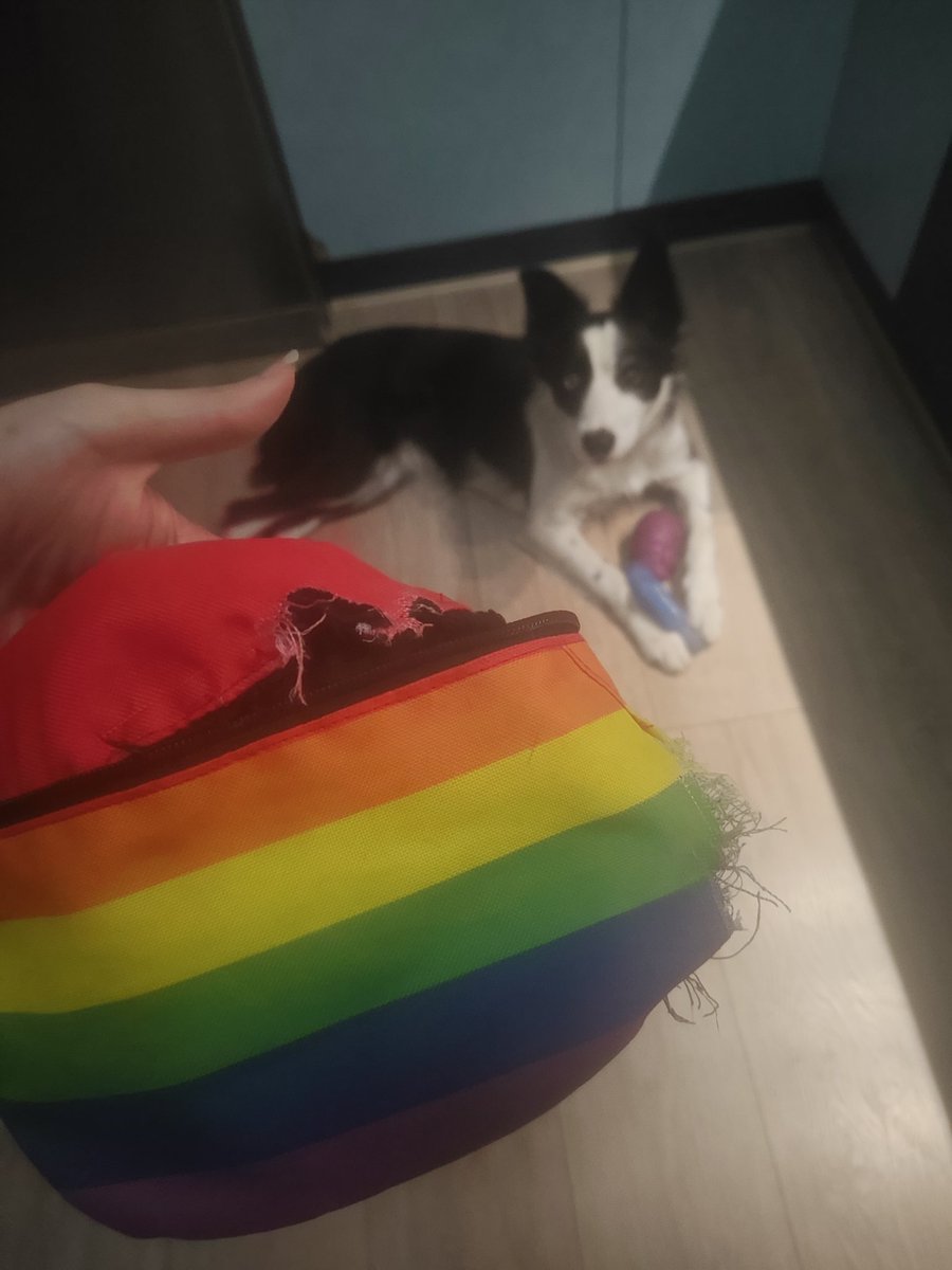 Andreja Hendrix.🌈 tweet media