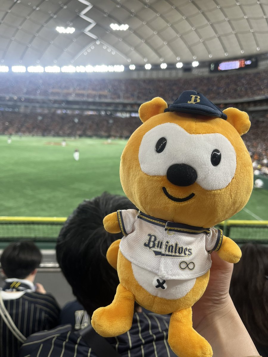 orix_sakura's tweet photo. 今週現地4行って4おりほ
うぇーーーーーーーーーい https://t.co/qDFtUxl574