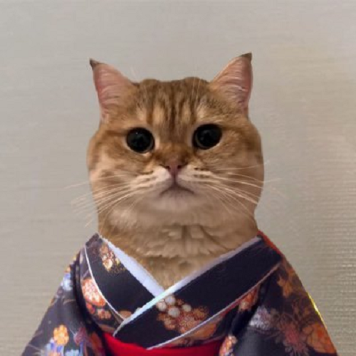 catownkimono's tweet photo. @CrashiusClay69 The Kimono Stays On. $COK

🐈👘 https://t.co/RF2DnA9kt7