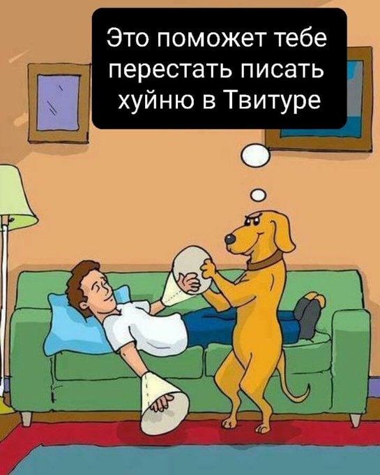 Эх, был бы у меня такой пёс.....