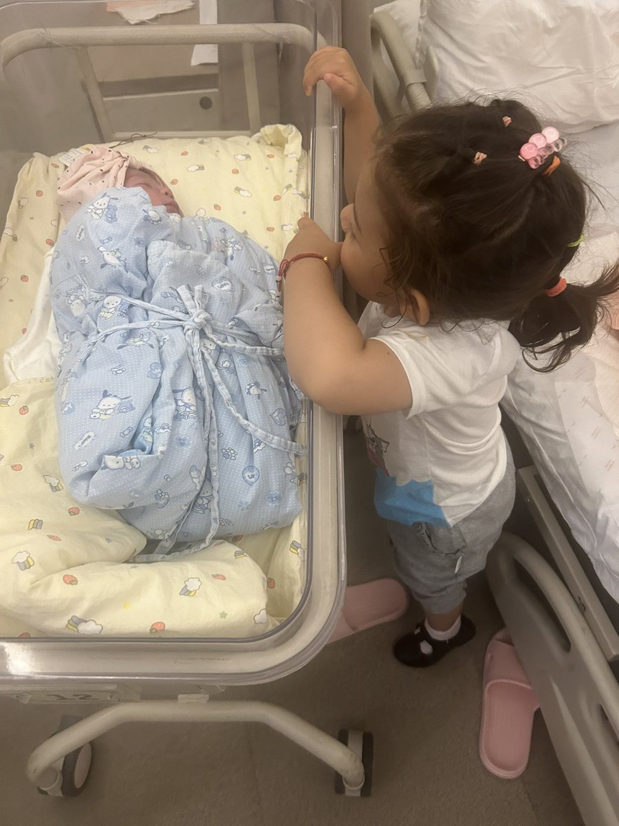 Andrea Ghiselli tweet media