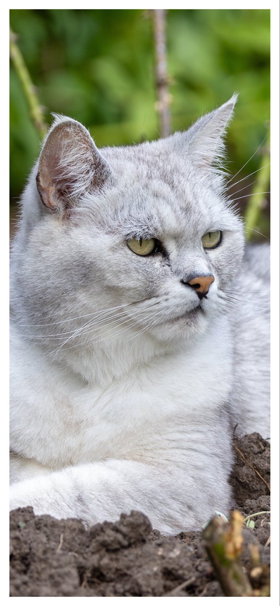 Brian Crosby tweet media