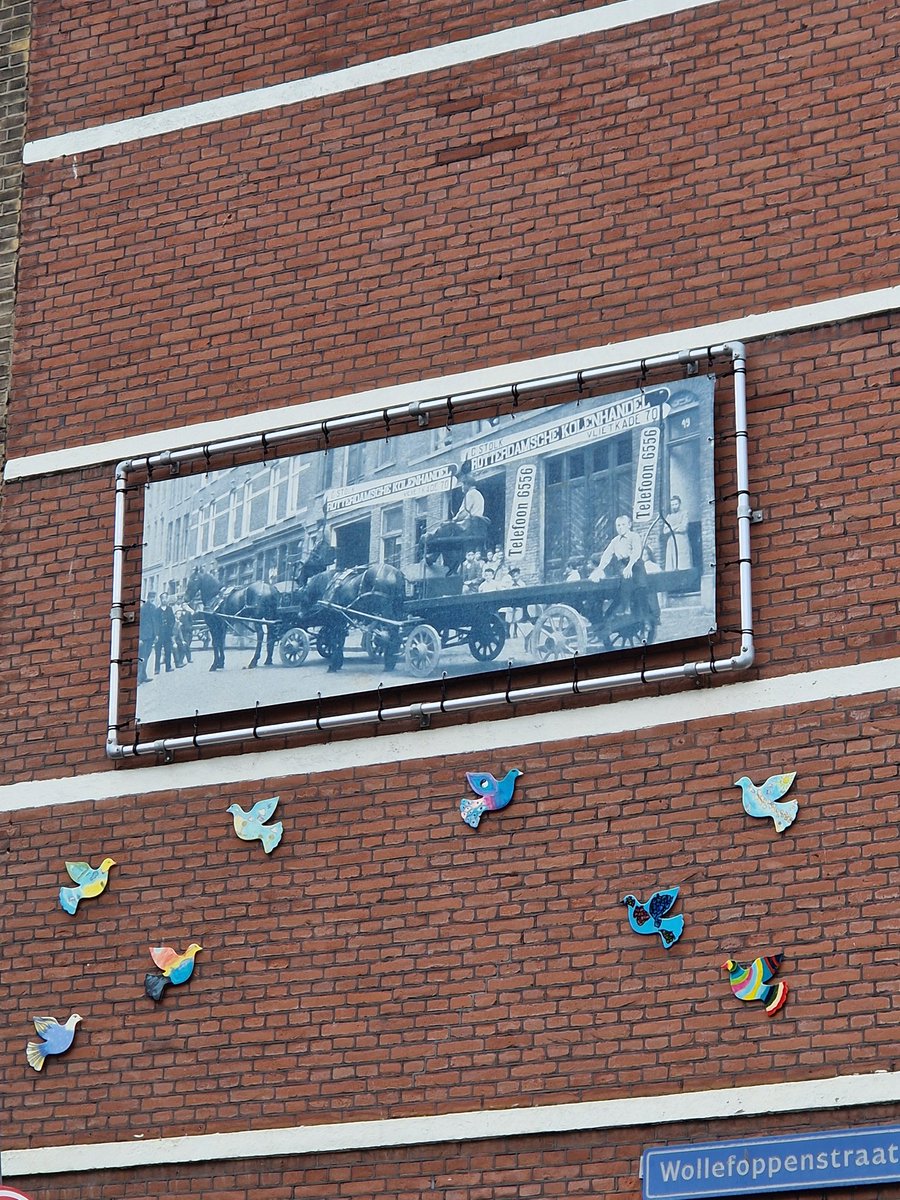 serolf's tweet image. #rotterdamsekolencentrale is het telefoonnummer nog actief? #rotterdam