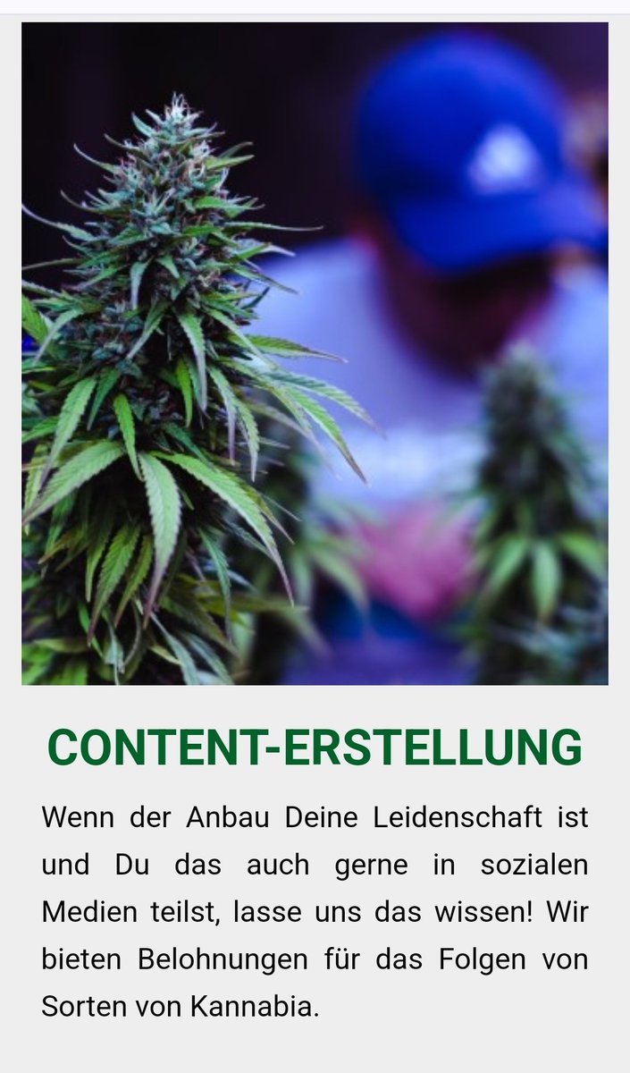 KannabiaSeedsDE's tweet photo. BIST DU
EIN LEIDENSCHAFTLICHER
C4NNAƁIS-FAN ⁉️💚
Nutze alle Vorteile, die Dir Kannabia zu bieten hat!
Wir bieten das umfassendste und wirkungsstärkste #Bonusprogramm der Branche! 🤩🥳🌱🎊🎉
ℹ️ Mehr Info (Link) 👇
https://t.co/3MZIUcTkFZ https://t.co/SQCEdYrtaV