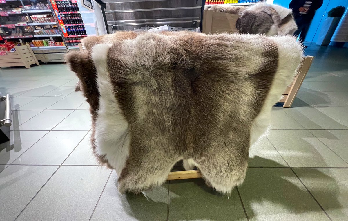 Bronwyn Fredericks tweet media