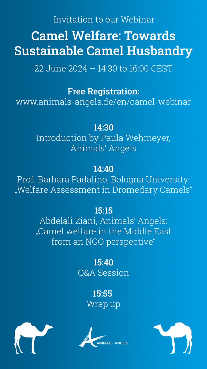 Animals' Angels Middle East tweet media