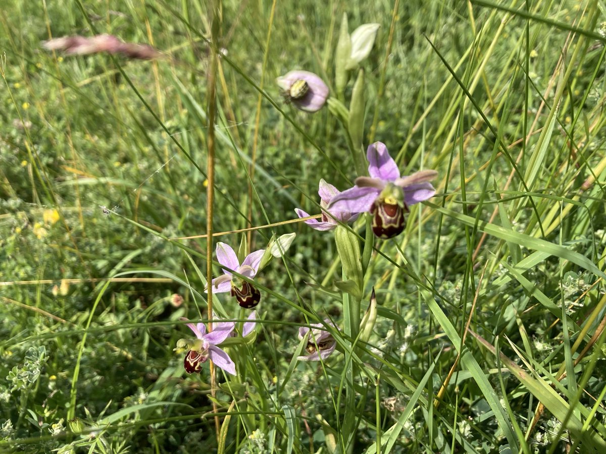 Draycote Water tweet media