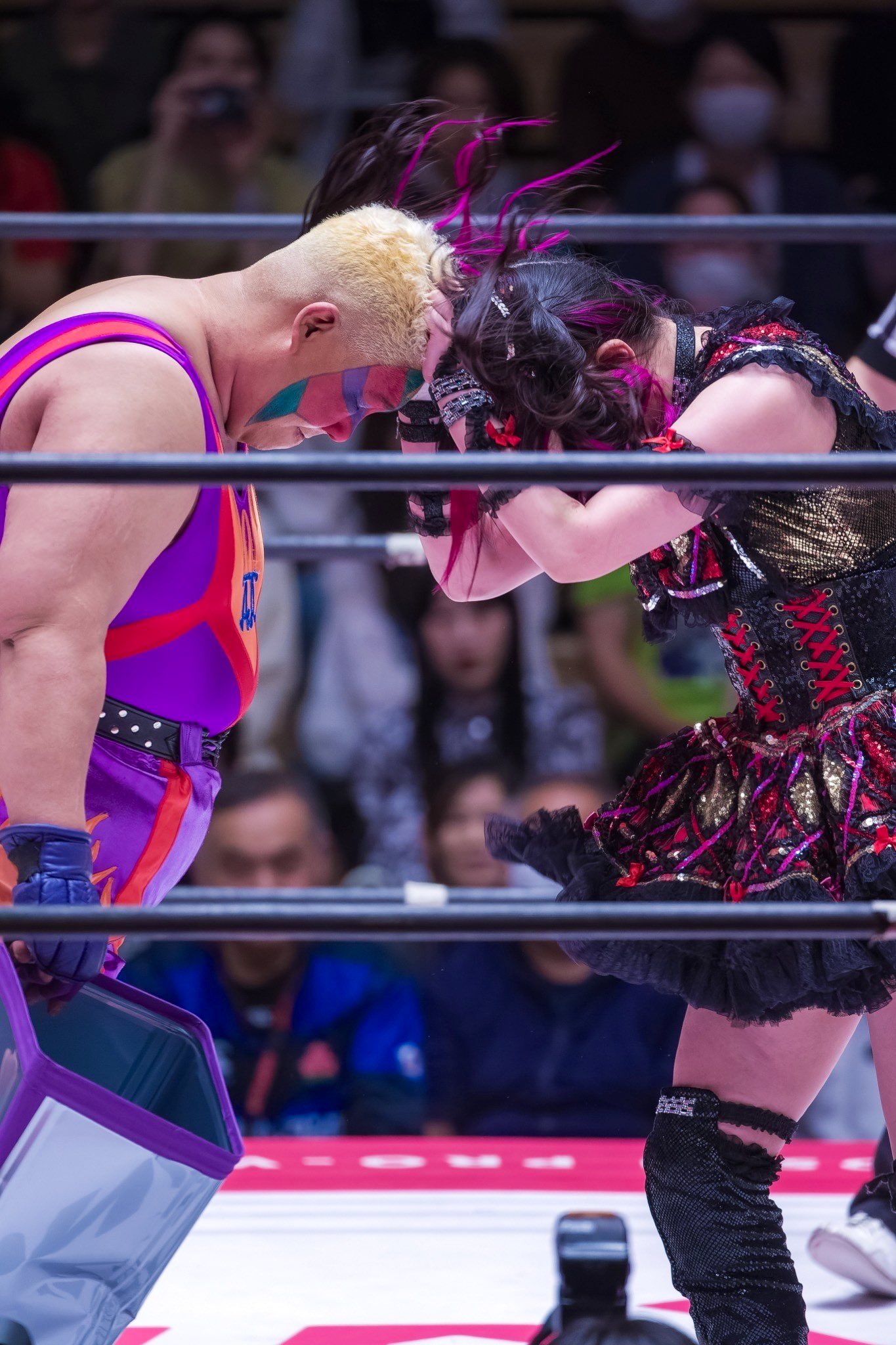 GPoQaUtaYAANQPr?format=jpg&name=orig