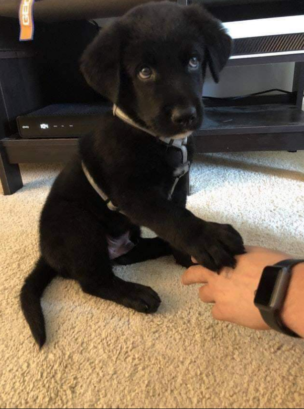 Don't scroll without giving me some love 🥰