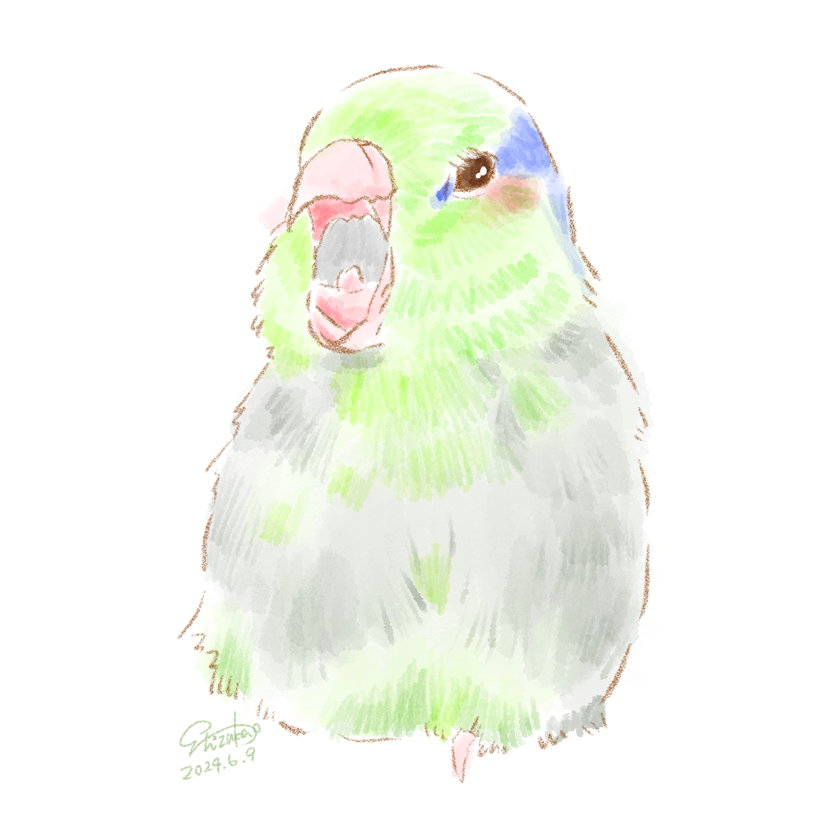shizuka_1329's tweet photo. 毎日イラスト投稿🐰362日目

Xにて募り、インコ描かせて頂きました🎨
飼い主の @cyampinist 様
ありがとうございました❤️

活動15周年に向けた1年限定企画！
6月13日までの毎日投稿チャレンジ中🎀
残りあと4日😭✨ https://t.co/RV8dTql5MT