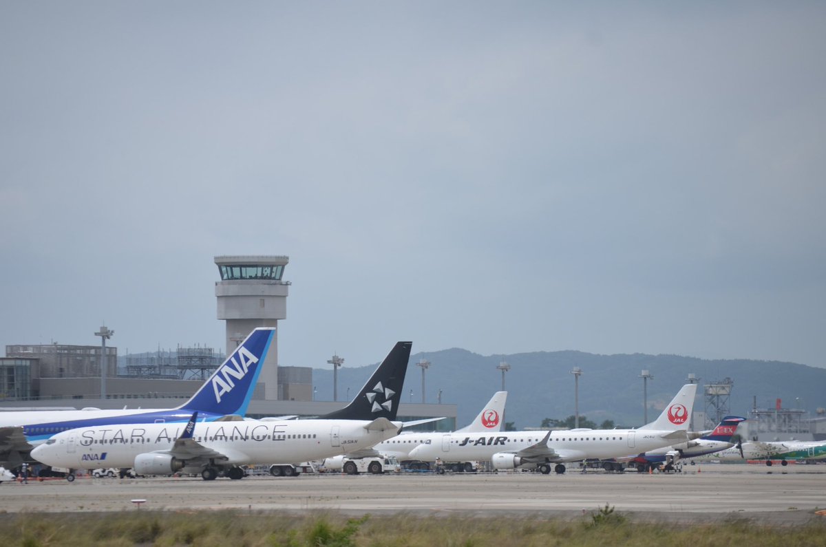 haruchan0342's tweet photo. 今日の仙台空港での収穫✈️
チビアラが飛んできて、IBEXのおしり、勢揃いの飛行機達を激写、相性抜群J-Airの尾翼のアップを撮りました✨
貞山堀でひとり興奮しながら撮ってました笑
みどりボンちゃんは離陸していきました🛫
#チビアラ
#futurepromise
#仙台空港
#貞山堀
#飛行機勢揃い https://t.co/kYejXMXSyi
