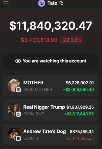 RealNwordTrump's tweet photo. Reminder that Top G is now evaluating whether your coin is GAY or not.

Guess who sent him $2M and is NOT GAY? The one and only, real n-word Trump. https://t.co/mQN0h1pePU