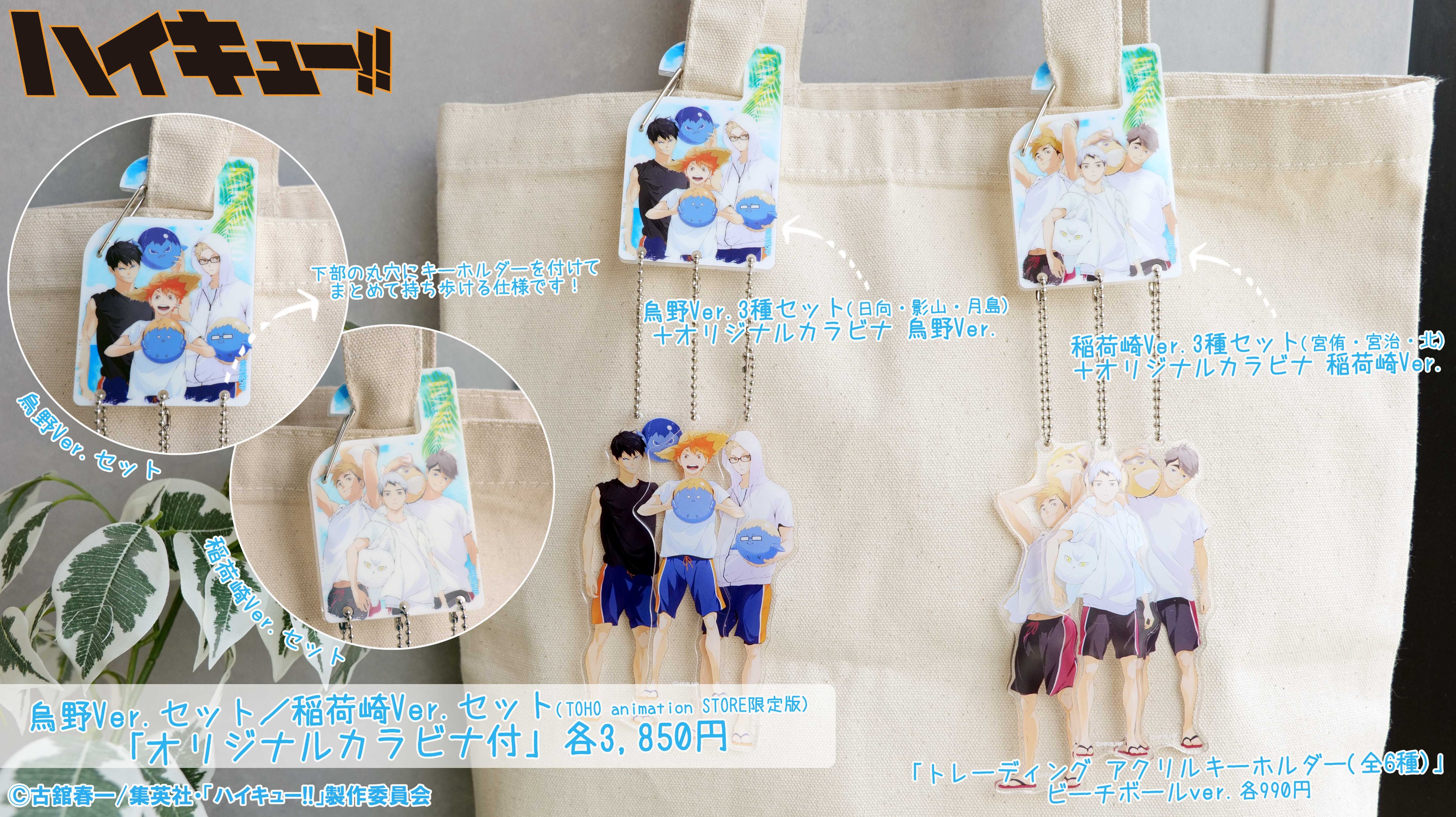 TOHO animation STORE on X: 