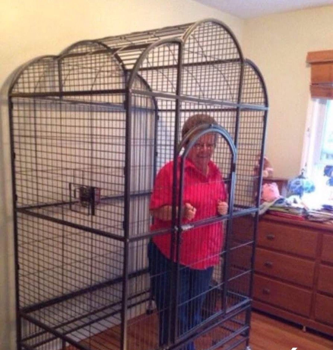 Me dice mi abuela que iba a votar al psoe, hoy no sale de casa