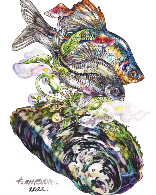 いいよね日淡 #みんなで日本淡水魚を描こうの会 