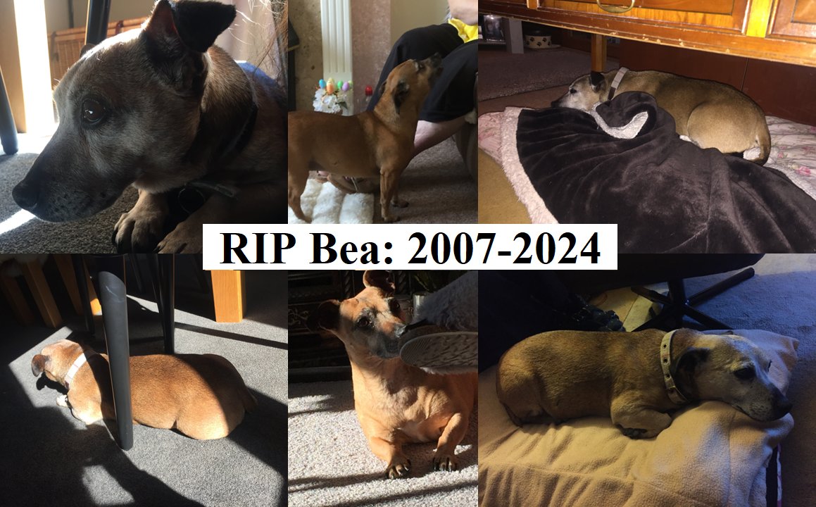 Scribbler tweet media