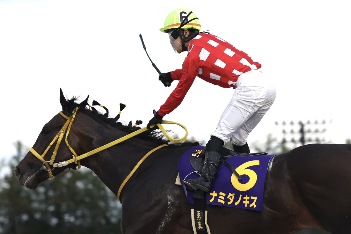 norinori0178's tweet photo. 今日 #金沢競馬場 で行われた第8回 #石川優駿 は、2番人気の #ナミダノキス（牡3・金田一昌厩舎）が優勝。
中央から転入後4戦無敗での載冠。
鞍上は柴田勇真騎手は石川優駿初勝利。おめでとうございます！ https://t.co/0zvNw0kkwp