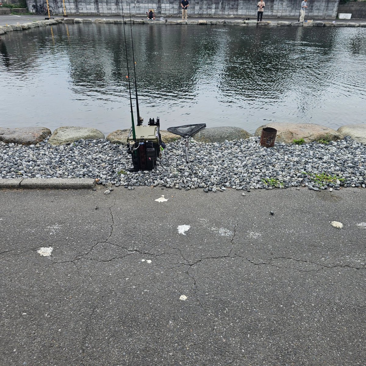 LI_zkzgjgjk's tweet photo. 今日は2週間ぶりの朝霞ガーデン釣行
12:00~17:45 
ルアー池のみ 21匹
修行が足りない
棚はずっと同じで、水面から約1.5mの間
巻きフォールからの平行フォールが最も反応が◎
巻きフォール中◯
今日の最優秀ルアーは豆0.8ベイジュグロー
#ネオスタイル 
#EMT 
#VerticalPRO 
#管理釣り
#エリアトラウト https://t.co/AFZglRugVy