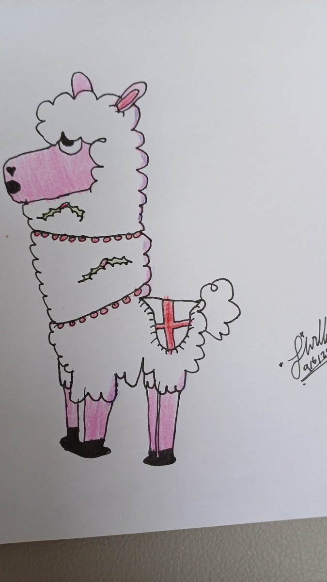 HeadteacherLen's tweet photo. Joshua's llama is supporting England at the Euros, whilst also dressing for Christmas!! Thanks for another great drawing @RobBiddulph https://t.co/0goHNVg5jN