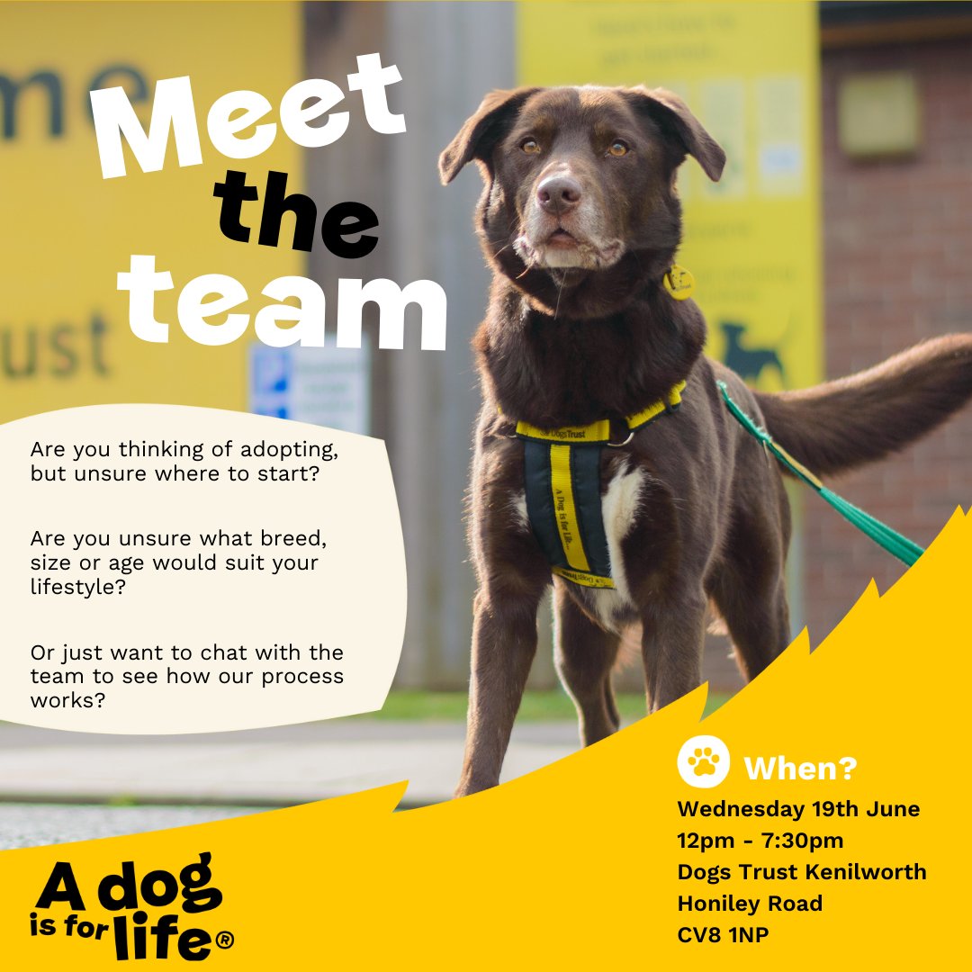 DT_Kenilworth's tweet image. Starting off our series of fortunate events will be our 'Meet The Team' day! 🙋‍♀️ 

Pop in to our Kenilworth Rehoming Centre on Wednesday 19th June between 12pm-7:30pm to meet all of our teams that work together to help the dogs in our care. 🐕

#DogsTrust #DogFriendlyWarwickshire