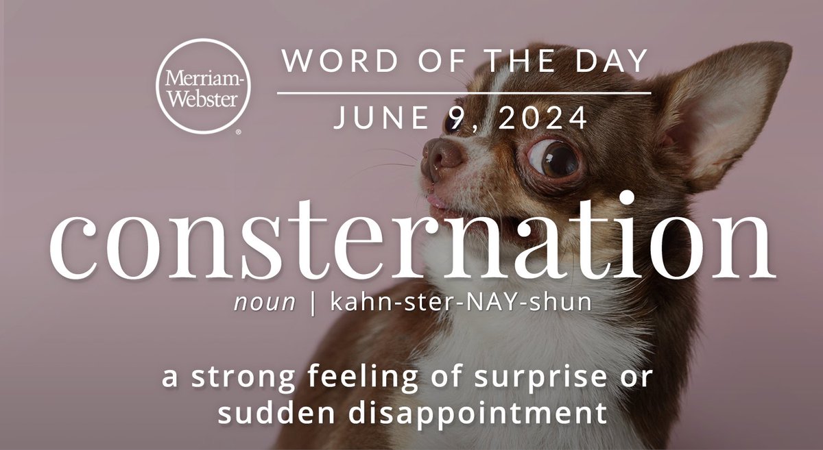 MerriamWebster's tweet photo. The #WordOfTheDay is ‘consternation.’
https://t.co/Bm2fNnGPjs https://t.co/BwJFZqshLx