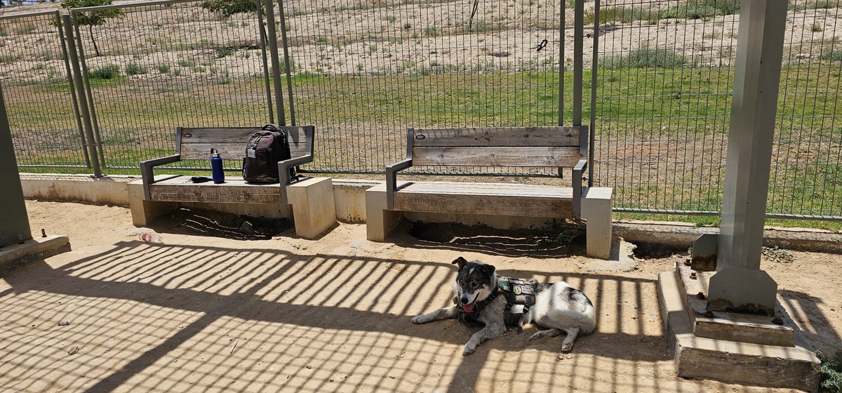 NickOtmazgin's tweet image. #CropCircles
#UnexplainedPhenomena
#Paranormal
#Ufology
#CropCircleResearch
#Interdimensional
#Consciousness
#SacredLandscapes
#IndigenousKnowledge
#SpiritualSignificance
#Multidimensional
#Anomalies
#ScienceAndSpirituality
#MysteryAndWonder
#TheJourneyContinues
#Alaska

And