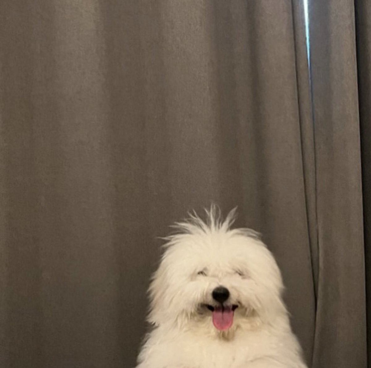 whotfisjovana's tweet image. him: are u fucking stupid

me: