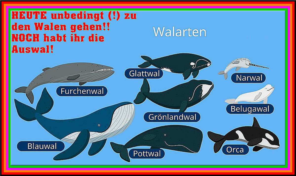 BukTomBloch's tweet photo. #Wählen Zu den #Walen gehen!! https://t.co/CEF8Tt7rvN
