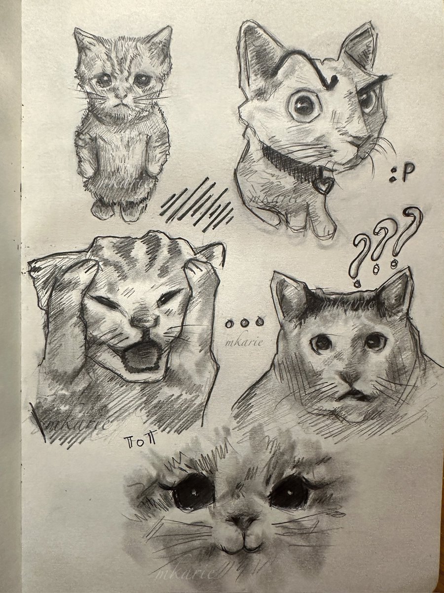 mkarie_'s tweet photo. mlem collection #cat #art #sketch https://t.co/QaoFYe4K52