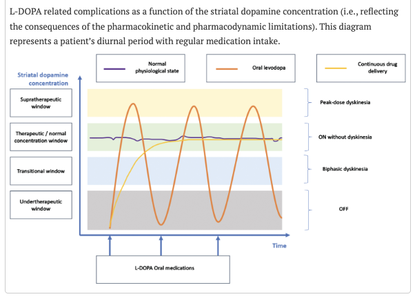 MichaelOkun's tweet photo. How effective are continuous dopaminergic therapies in Parkinson’s? Can you name 6 limitations in current therapy? The shortcoming seems to be at least in part linked to the L-DOPA pharmacokinetics and pharmacodynamics as well as disease progression. Demailly, Moreau and Devos highlight the key parts of this story in their new paper in @journal_PD.
Kep Points:
- The authors remind us that dopamine cannot cross the digestive and blood-brain barriers.
- It is therefore the precursor drug levodopa that we use to get the drug to the brain.
- There is a complex interplay of Parkinson's disease progression which is coupled with the pharmacokinetic and pharmacodynamic properties of L-DOPA which render it tricky to deliver; and perhaps why we must make changes in dose and timing of dose over time for any given person.
- Many authors and experts have opined that motor and non-motor complications could be better addressed by 'continuous dopaminergic delivery therapies.'
- The authors identified 6 key limitations of levodopa including "1- restricted digestive and cerebral absorption; 2- unnecessary peripheral distribution; 3- short half-life; 4- age- and PD-induced decline of central aromatic L-amino acid decarboxylase; 5- misdistribution in many cells; and 6-pulsatile stimulation of dopaminergic receptors." 
My view: The authors hit the nail on the head when they 'honestly' share with us that the pharmacokinetic and pharmacodynamic 'constraints' have not been adequately addressed by current Parkinson's therapies.  There have been many attempts at continuous dopaminergic stimulation, and we must now ask ourselves; is it the methods that will require refinement or do we need to pivot to a different or more nuanced approach? Either way, clinicians hopefully will appreciate that the 'timing of medications' remains a critical factor in the long-term management of Parkinson's disease. Summum bonum – the highest good dictates that we care for the people today, while we 'continue' to ponder the mystery of the optimal dopamine delivery system of tomorrow. https://t.co/lmcuY5HpFO #parkinson