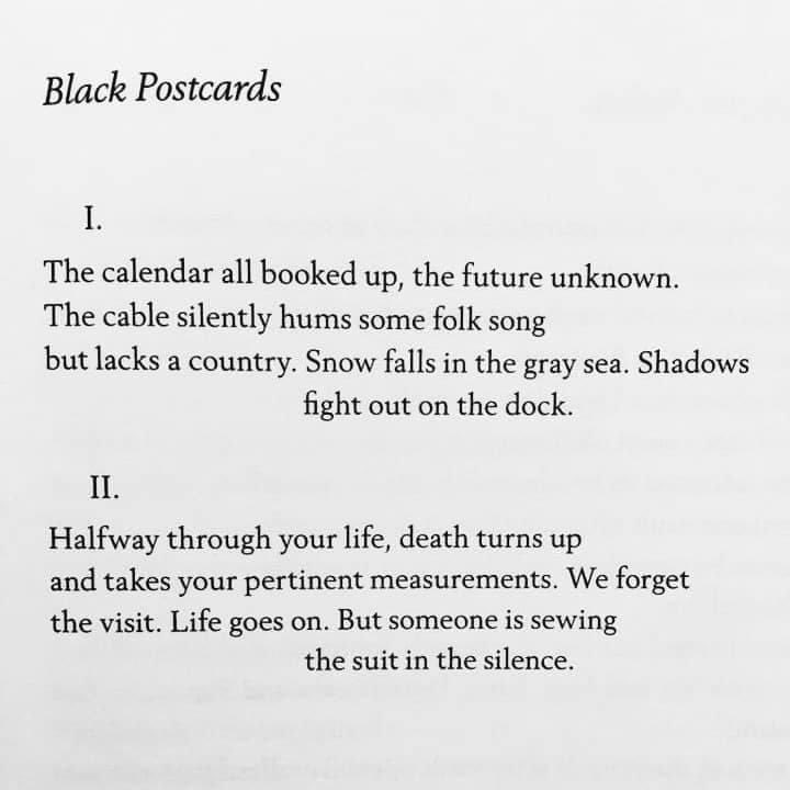majalukic113's tweet photo. I have to post Robert Bly’s translation of this Tomas Tranströmer poem every June 9, the anniversary of the first time I read it in Copenhagen many years ago https://t.co/M45TTzbMDE