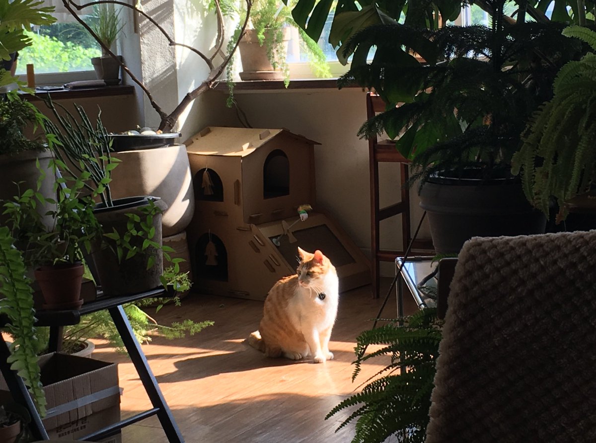 💭 (@ooqoopoq) on Twitter photo 