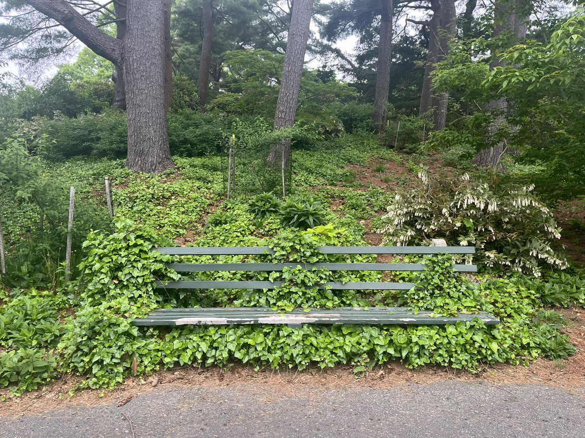 PicturesBench's tweet photo. Spring benches in Boston #bench https://t.co/MkGPlpcYLt