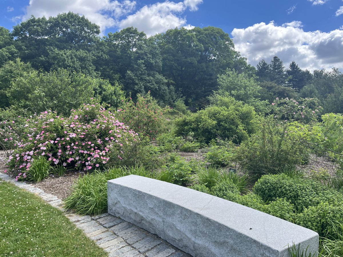 PicturesBench's tweet photo. Spring benches in Boston #bench https://t.co/MkGPlpcYLt