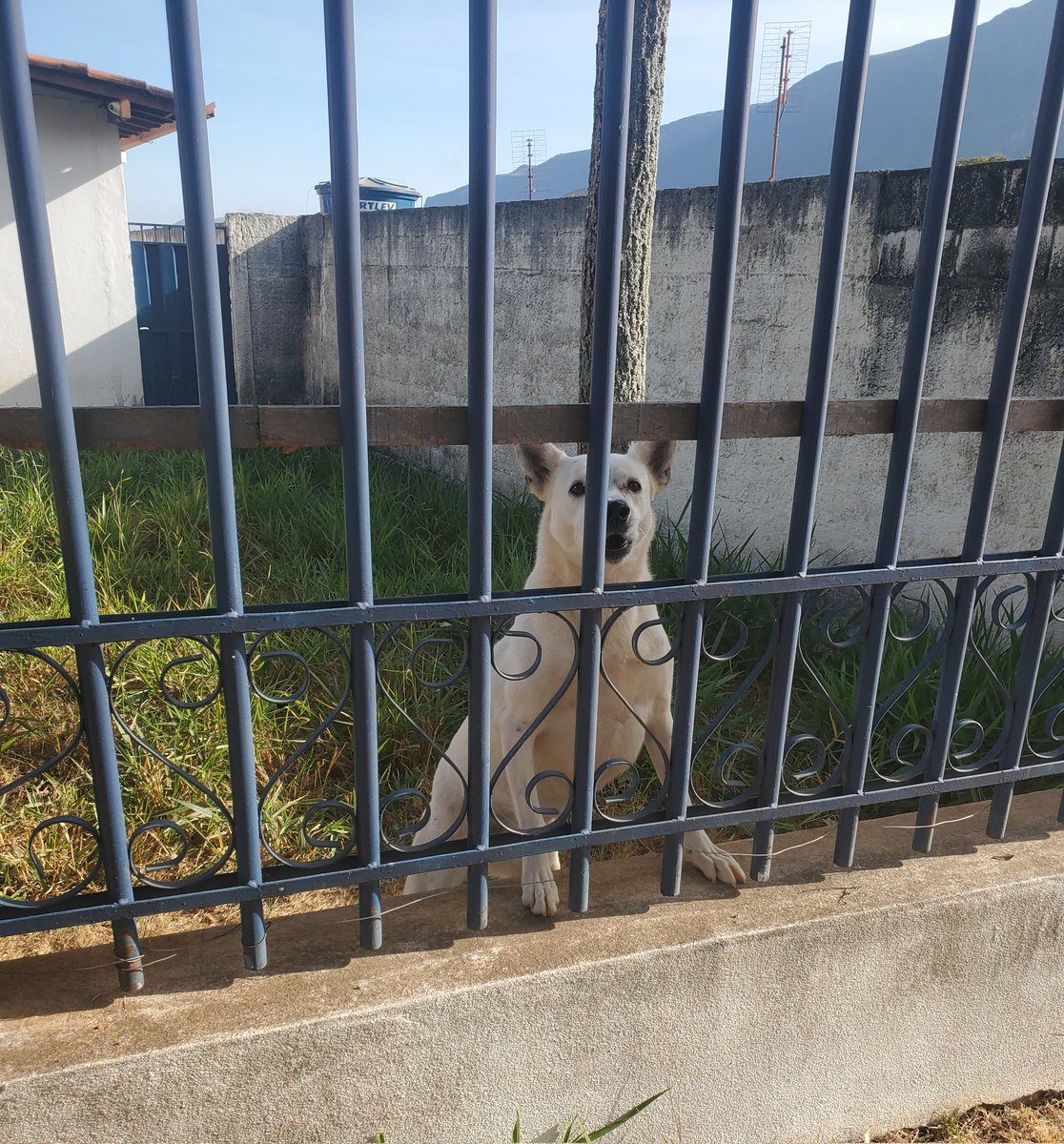 florestantan's tweet photo. flok quem lembra https://t.co/OnXm2LIbbt