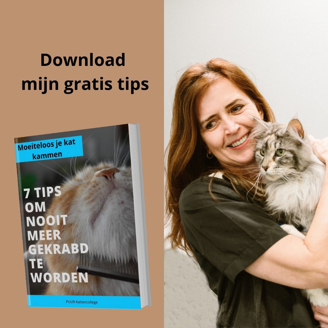 De gezondheid van je kat is voor jou superbelangrijk. Daar hoort de vacht ook bij. Hoe kun je hem het beste helpen als hij niet wil dat jij zijn vacht verzorgd? Dat lees je in dit e-book.
puurkatten.nl/7-tips-om-nooi…