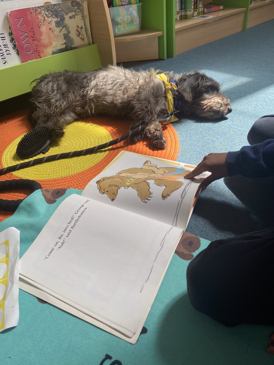 percythepatdog1's tweet photo. A Lovely afternoon visit to the library to see our reading friends. There were Strokes, cuddles , brushing and chats about the half term break.. Wilbur was all Ears! @Penwortham212 @PetsAsTherapyUK #read2dogs #patdog #VolunteersWeek2024 #enrichinglives #humananimalbond #tooting https://t.co/xpImRW4vPX