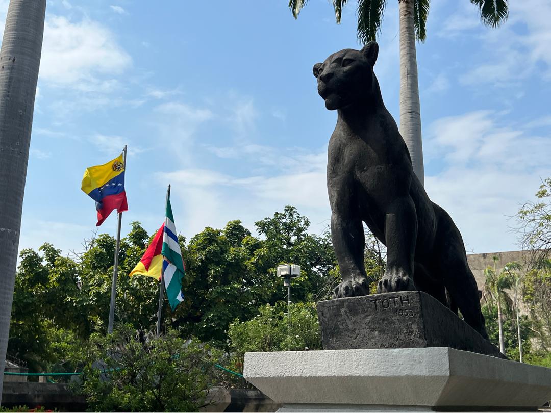 AlcDeGirardot's tweet photo. Feliz Domingo ⛅

Nuestra ciudad te espera con los brazos abiertos. Este rincón venezolano, con su naturaleza, su legado histórico y su gente alegre, constituye una joya única en nuestro país 💙💚

¡Maracay Mi Ciudad Ideal! 

@RafaelMaracay21 
@Soykarinacarpio
#Maracay https://t.co/rEcnNnkJLM
