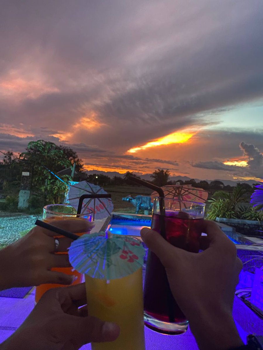 zea 🌱 tweet media