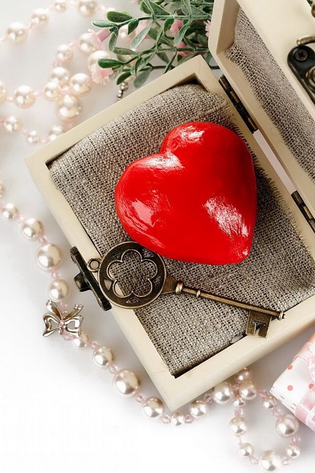 ﺂلـمــھـــرھ 𓃗 tweet media