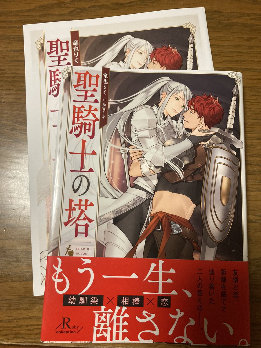 SY_20_'s tweet photo. #聖騎士の塔
#竜也りく　先生
#秋吉しま　先生(ill
#Rubycollection
孤児院からの親友で冒険の唯一無二の相棒・カーマインとライア｡ 突然、カーマインと別れ「聖騎士の塔」での修行に入ってしまったライア｡一人になり初めてライアへの想いを自覚するカーマイン｡塔を隔てて想い合う二人の愛の記録😊 https://t.co/yFuQ2gLV6A