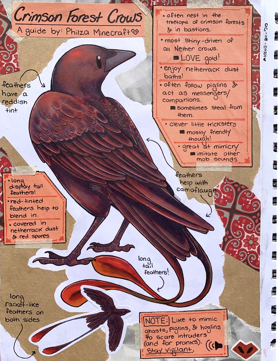 Skilled at mimicry and being a general nuisance, the Crimson Forest Crows are finally here!!! (They’re so red,,, I love them sm)

And with that, the Nether crows are FINALLY done!!!

[#philza #philzafanart #minecraftcrows ]