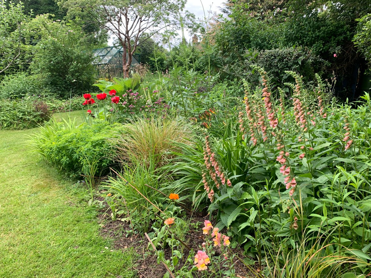 Herbaceous borders taking shape now. Three weeks to go..