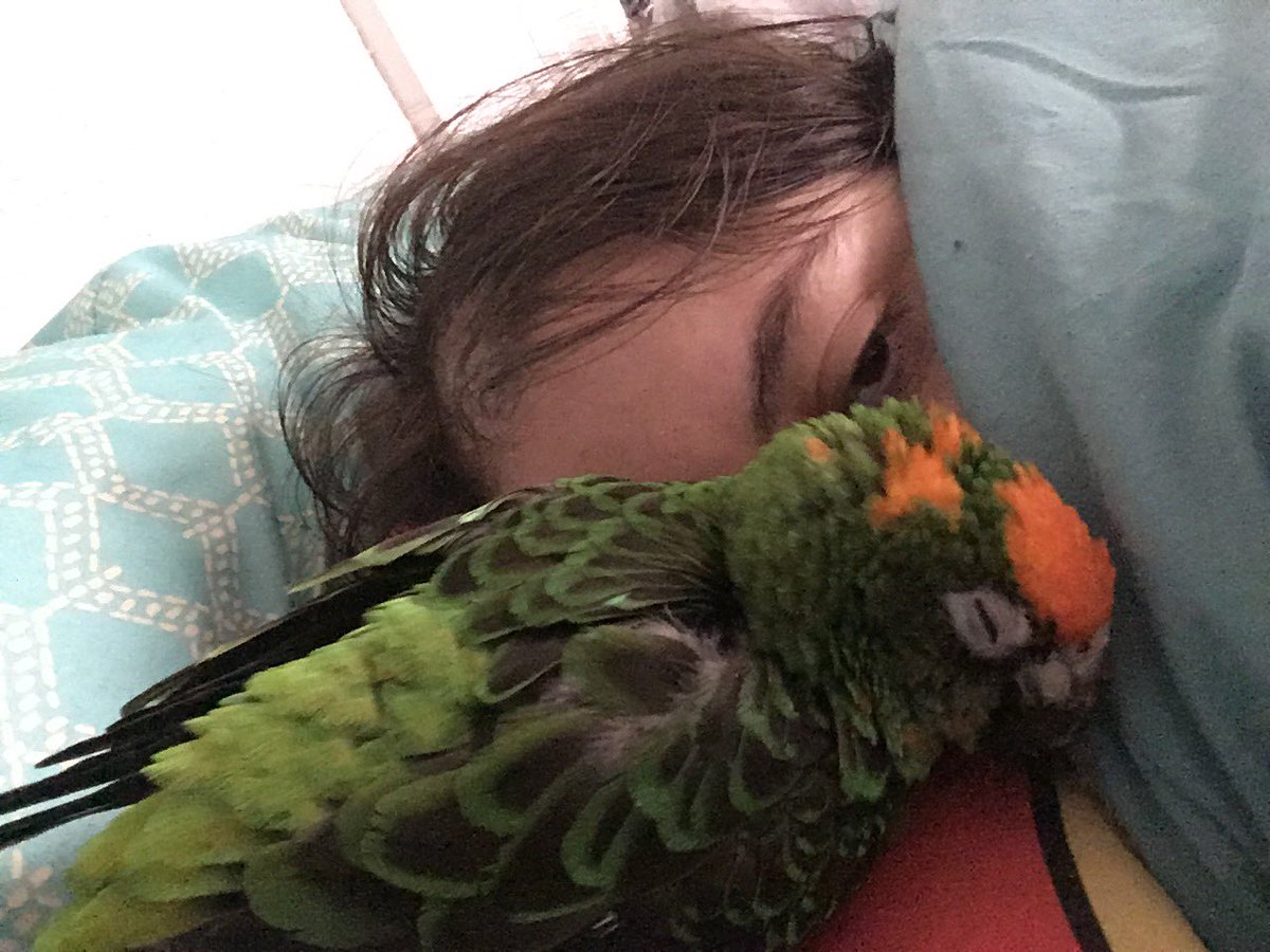SleepyKyju's tweet photo. I got 15 wonderful years. It should have been 15 more but I’m so thankful for every minute. https://t.co/AhBiKBY10P