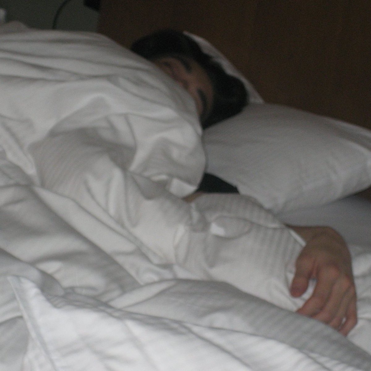 mytinyjake's tweet image. 🥱🐾