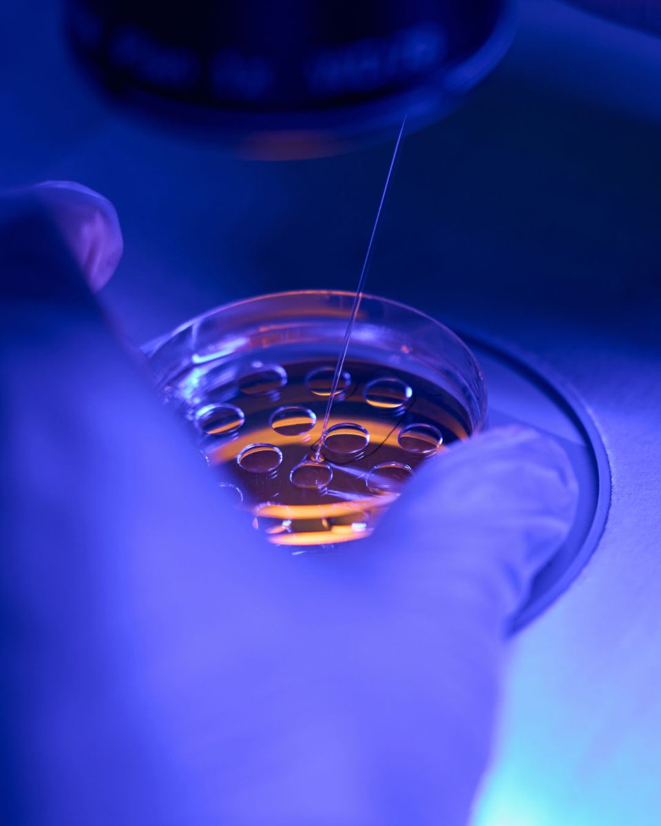 Drs. Irina Polejaeva, Ying Liu, and Laura Adams compiled data from interspecies cloning papers published since 1999 to determine common obstacles, research goals, and produce a meta-analysis of in vivo and in vitro embryo development.

buff.ly/3VbI8E9